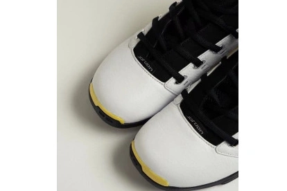 Jordan 17 Low “Lightning” Air 0829